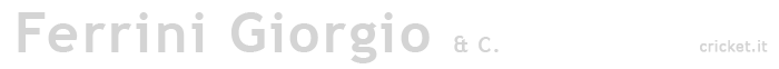 Ferrini Giorgio & C. - Ferrini Giorgio, Controsoffitti, Cornici, Stucchi, Rifiniture d'Interni 
